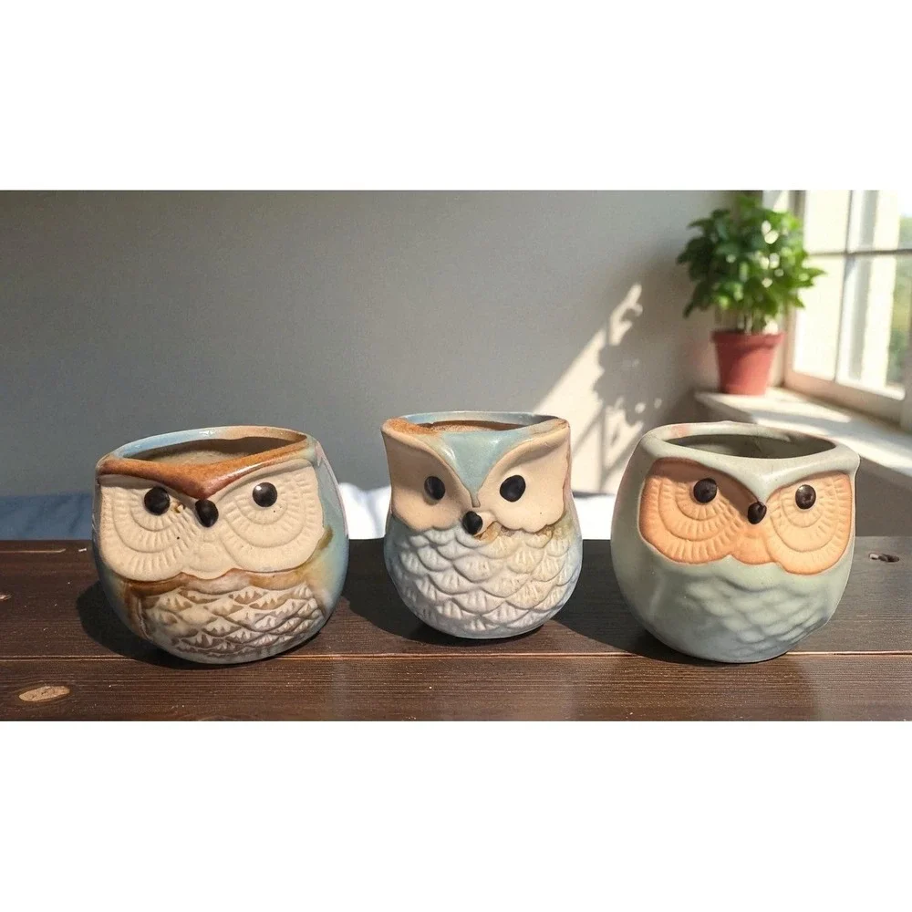 Owl 3 Piece Mini Planter Pots, Ceramic Succulent Air Plant with Wood Under Plate
